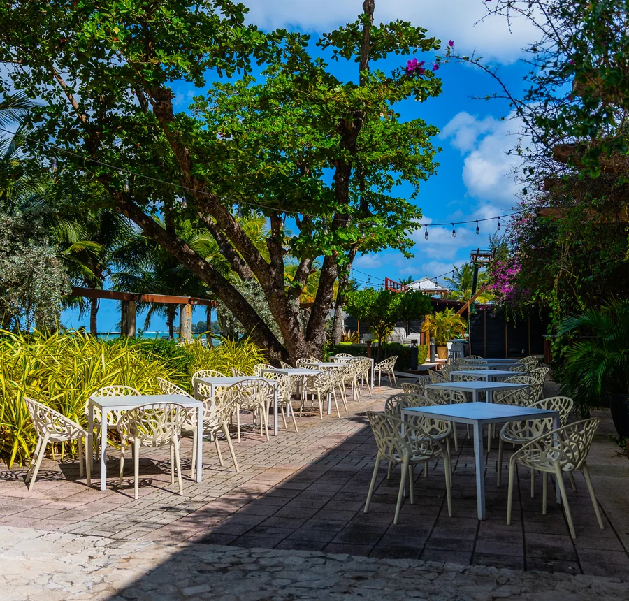 Open-air garden seating at Vivo Beach Club